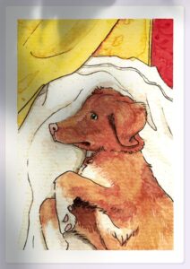 cane-letto-watercolor